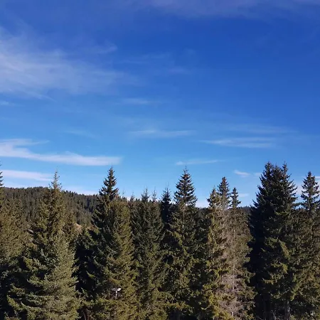 панорама уют Стойките