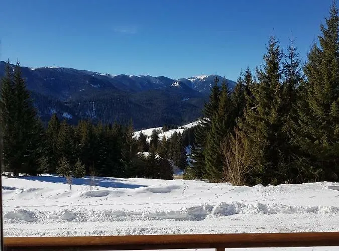 Apartament панорама уют *